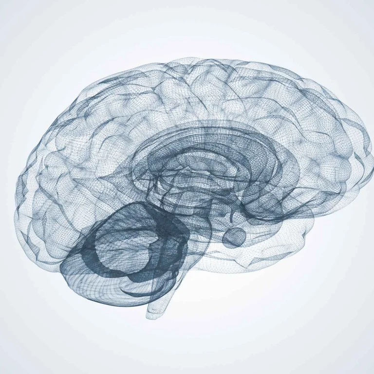 Website / Webapplicatie voor Brainclinics