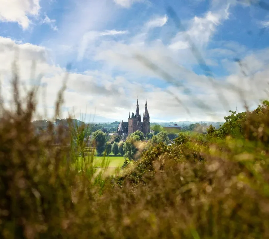 Uitzicht over het Land van Cuijk, met de kerk van Cuijk boven de bomen